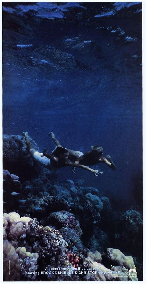 Blue lagoon 1980 Aesthetic, The Blue Lagoon 1980, Ocean Banner, Blue Lagoon Movie, Christopher Atkins, 2023 Drawing, The Blue Lagoon, Fantasy Mermaids, Mermaid Aesthetic