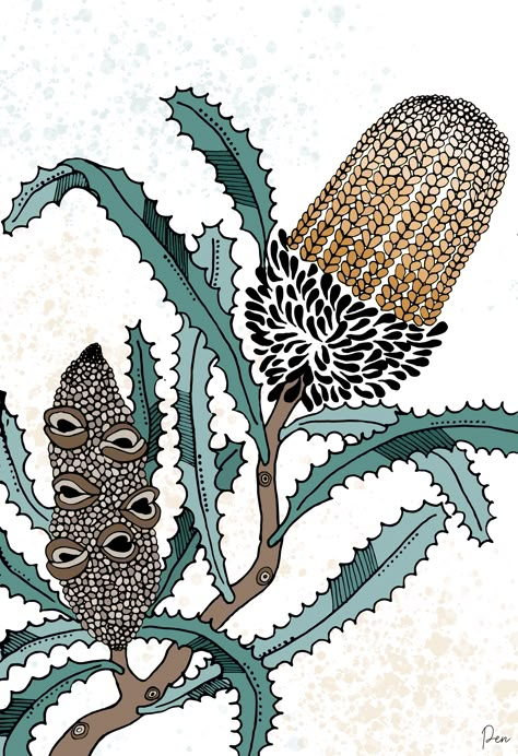 Banksia Boys Ed. 1 of 25 by Penny Matchett Protea Art, Australian Wildflowers, Korean Painting, Digital Flower, Australian Flowers, Australian Native Flowers, Australian Flora, Flower Nature, Nature Garden