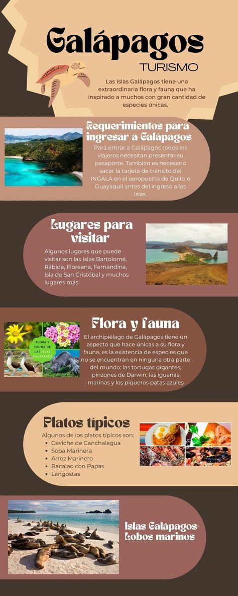 Inforgrafía sobre el turismo de Galápagos Islas Galapagos Ecuador, Galapagos Ecuador, Cute Cows, Ecuador, South America, Fondant, Angeles