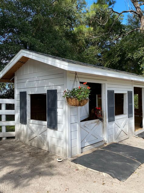 Llama Shelter, Small Goat Barn Ideas, Small Barn Layout, Small Cow Shed Design, Mini Cow Barn, Pig Barn Ideas, Barn Landscaping Ideas, Small Horse Barn Ideas, Cow Barn Ideas