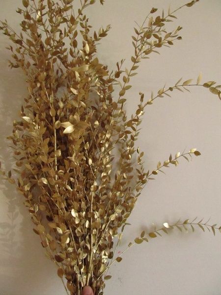 Gold Parvifolia: all year $ Painted Greenery, Floral Stand, Jade Wedding, Gold Foliage, Large Flower Arrangements, Gold Wedding Theme, Gold Leaves, Whimsical Decor, Flower Branch