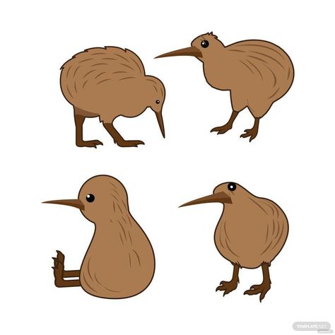 How To Draw A Kiwi Bird, Cartoon Kiwi Bird, Kiwi Reference, Kiwi Bird Drawing, Kiwi Bird Art, Kiwi Animal, Ninja Outfit, Bird Vector, Image Graphic