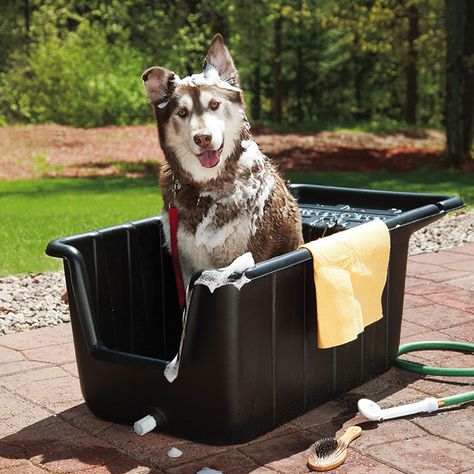 10 Best Outdoor Dog Baths - Outdoor Dog World Dog Washing Station Outdoor, Dog Baths, Dog Bathing Station, Diy Dog Wash, Dog Tub, Dog Bath Tub, Dog Station, Dog Grooming Tubs, Pet Washing Station