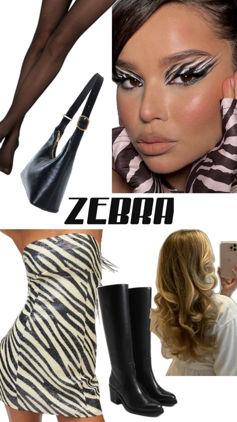 Zebra Costume