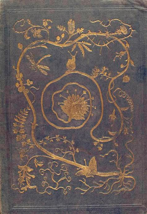 Les fleurs animées - NYPL Digital Collections Antique Book Covers, Illustration Art Nouveau, Old Book Covers, Best Book Covers, Vintage Book Covers, Beautiful Book Covers, Beautiful Books, Antique Book, Book Cover Art