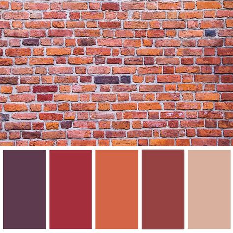 Red Color Pallets, Kitchen Color Palettes, Red Colour Palette, Color Palette Bright, Carlo Scarpa, Brick Colors, Front Door Colors, Design Seeds, Color Balance