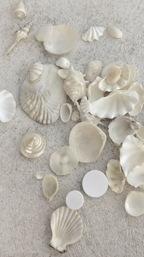 Mermaid Aesthetic, Mood Board Inspiration, Computer Wallpaper, White Wallpaper, Beach Aesthetic, White Aesthetic, The Sand, Phone Backgrounds, Pattern Wallpaper