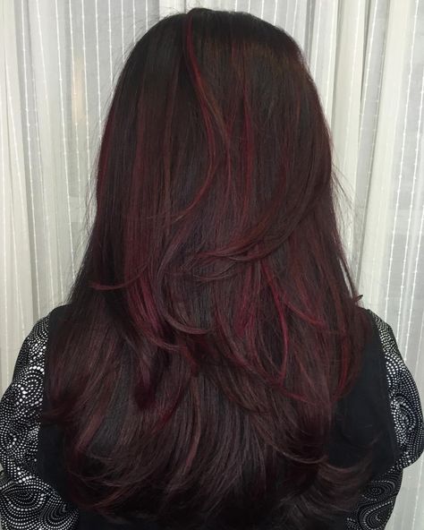 Magenta Red Highlights, Dark Hair With Coloured Highlights, Deep Cherry Red Hair Ombre, Dark Red Hair Pink Highlights, Dark Red Streaks In Brown Hair, Colour Highlights Brown Hair, Dark Brown Hair With Dark Red Highlights, Brown Hair With Coloured Highlights, Dark Red Highlights On Dark Hair