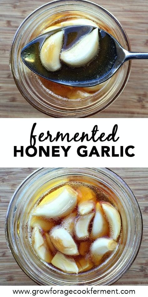 Honey Fermented Garlic: Fermented Honey Recipes - This fermented honey garlic is the perfect thing to make to boost your immune system! Both honey and garlic have strong medicinal benefits, so you'll want to have this delicious home remedy on hand for cold and flu season. Fermented Honey Recipes | Raw Honey Recipes | Fermenting Garlic in Honey Honey Fermented Garlic, Fermented Honey Garlic, Raw Honey Recipes, Fermented Garlic, Fermented Honey, Fermentation Recipes, Fermented Vegetables, Probiotic Foods, Honey Recipes