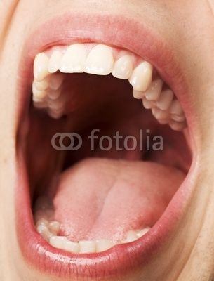 Open Mouth Pose Reference, Opening Mouth Reference, Open Mouth Art Reference, Open Mouth Reference Photo, Open Mouth Photography, Hands In Mouth, Mouth Open Reference, Open Mouth Reference, Inside Of Mouth