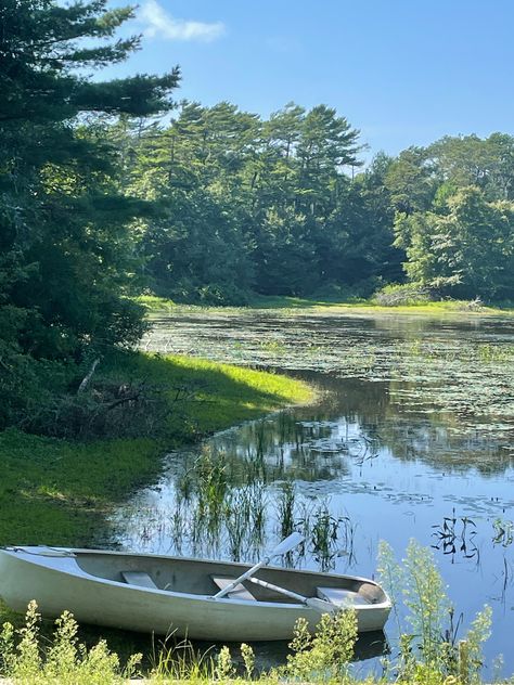 Boat Pond, Pond Boat, Kids Boat, Pedal Boat, Pond Landscaping, Future Farms, Makeover Bedroom, Row Boat, Small Boats