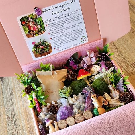 FAIRY GARDEN KITS | Coco's Secret Garden Fairy Garden Gift Basket, Fairy Box Ideas, Heartwood Hotel, Tinker Box, Fairy Garden Gifts, Enchanted Forest Party, Indoor Fairy Gardens, Fairy Garden Kit, Fairy Box