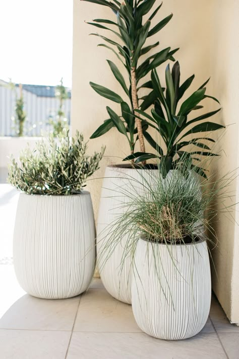 | California Outdoor Oasis Patio Plants In Pots, Outdoor Vases, Large Outdoor Planters, California Outdoor, Coastal Casual, Potted Plants Outdoor, Plants Outdoor, Patio Pots, Patio Garden Design