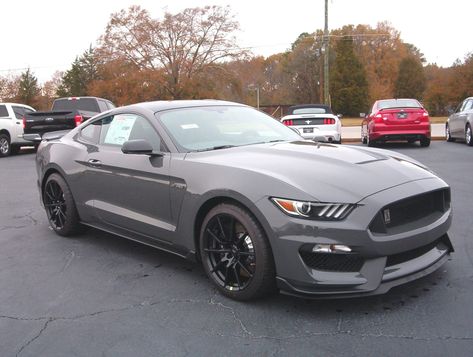 Gray Mustang, Grey Mustang, 2022 Ford Mustang, Mustang 2018, Goals 2024, Gt Ford, Ford Mustang Shelby Gt, Gt 350, 2010 Mustang