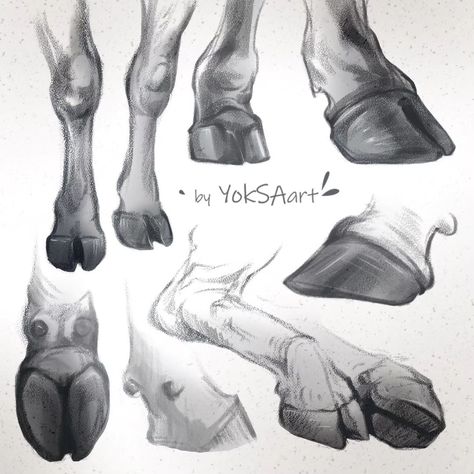 I've made some digital sketches focusing on cow legs and hooves. The purpose of these cow anatomy sketches was to practice and improve my drawing skills in this challenging area. In one of my art projects, cows play a significant role, and their legs and hooves have been a persistent source of frustration (omg those forms 😵‍💫) for me due to the difficulty in rendering them accurately. I had to take a break and dedicate time to sketching and improving it... . . . . . . #cowsketches #digitala... Cow Tutorial Drawing, Cow Ears Drawing Reference, Cow Legs Drawing, How To Draw Hooves, Cow Reference Drawing, Animal Legs Drawing, Hooves Drawing, Cow Sketch Drawings, Bovine Anatomy