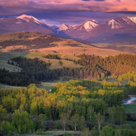 Springtime in Montana is a beauty to behold. Full rivers, green hills, lush vegetation and snow on the peaks. Definitely one of my favorite times of year. 📸 Photo Credit: @kevinleaguephoto #montana #visitmontana #visitmt #bigskycountry #montanagram #montanaphotography #exploremontana #montanaexplorer #mountainphotography #springinmontana #mountains #montanamountains #earthfocus #getoutside #406 #montanamoment Visit Montana, Montana Mountains, Montana Travel, Montana State, Big Sky Country, Green Hills, Mountain Photography, Glacier National, Glacier National Park