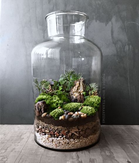 Landscape Terrarium, Photo Doodle, Terrarium Design, Unique Terrarium, Terrarium Ideas, Beautiful Terrariums, Mini Terrarium, Leafy Plants, Moss Terrarium