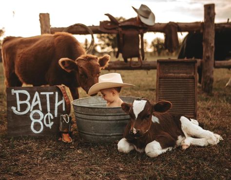 Cowboy Cake Smash, Cowboy First Birthday, Cowboy Cake, Cowboy Cakes, Smash Cake Boy, First Birthday Pictures, Rodeo Birthday, Birthday Pictures, Happy Campers