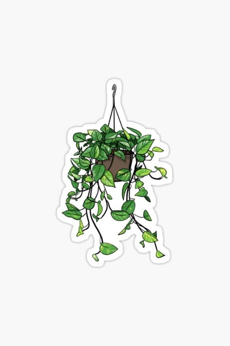 This sticker of a green and aesthetic golden pothos hanging plant is a cool sticker to put on your laptop. Need other ideas where to put stickers? It is the perfect cute sticker for your planner, a sticker for your scrapbook or to put on your school supplies. It also fits perfectly on a hydroflask. Find this cool decal on Redbubble by lisaedlund, and other cute plant stickers. Sticker Art Aesthetic, Hanging Plants Aesthetic, Green Stickers Aesthetic, Plant Stickers Aesthetic, Minimalistic Stickers, Gardening Stickers, Cute Plant Stickers, Nerd Stickers, Stickers Plants