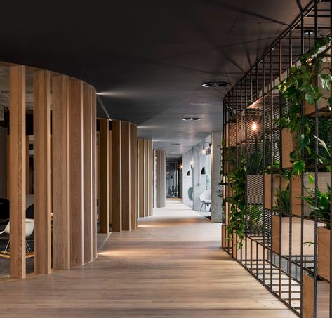 Plant Office Design, Sustainable Interior Design, Commercial And Office Architecture, Green Office, Modern Office Design, Office Plants, Cool Office, Workplace Design, Office Workspace