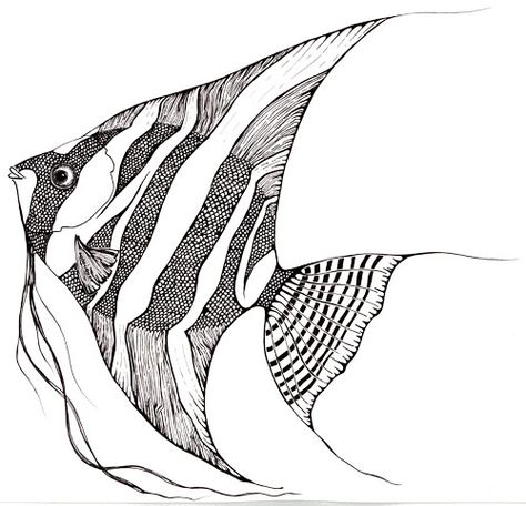 Angel Fish Tattoo Design, Angel Fish Illustration, Angel Fish Drawing, Angelfish Drawing, Angel Fish Tattoo, Zentangle Animals Art, A Level Sketchbook, Yoga Art Painting, Easy Drawing Step By Step