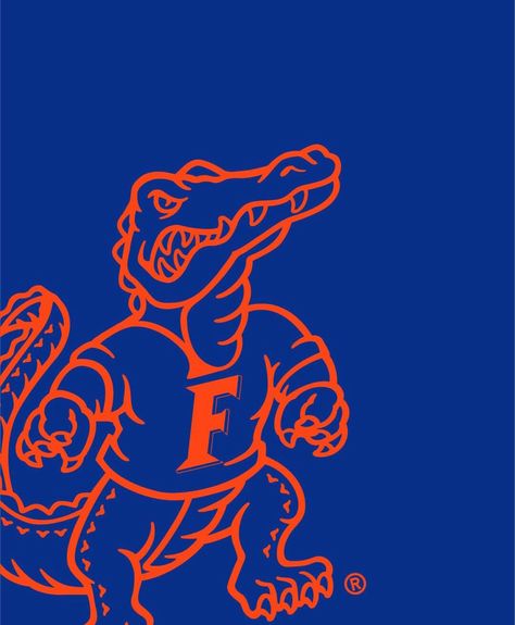 Uf Wallpapers, Florida Gators Aesthetic, Uf Aesthetic, Florida Gators Football Wallpaper, Uf Dorm, Florida Gators Wallpaper, Uf Gator, Senior 25, University Inspiration