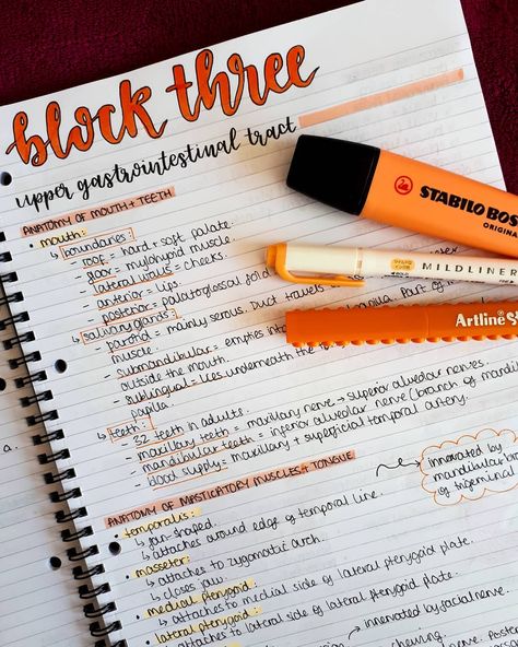 studygram 📚 on Instagram: “Orange theme for this set of notes 🧡🧡🧡 • #study #studying #studygram #studynotes #studymotivation #studyblr #studyabroad #notes #motivation…” Orange Notes Aesthetic, Orange School Aesthetic, Orange Study Aesthetic, Instagram Notes Ideas, Studygram Ideas, Notes Motivation, Organize Notes, Study Things, Study Gram