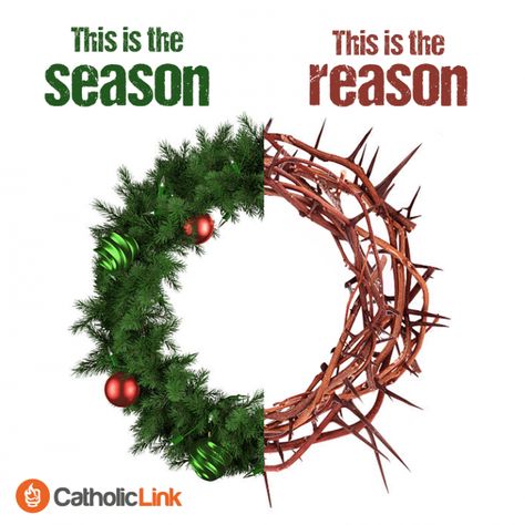 Jesus Is The Reason For The Season | Catholic Link Birth Of Jesus Christ, Meaning Of Christmas, True Meaning Of Christmas, Christmas Jesus, Birth Of Jesus, Christian Christmas, Christmas Quotes, Christian Life, All Things Christmas