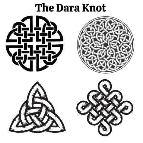 20 Celtic Symbols and Their Meanings - Ireland Wide Celtic Knot Meaning, Gemini Goddess, Gaelic Symbols, Dara Celtic Knot, Rich Tattoo, Celtic Knot Meanings, Knot Logo, Shield Knot, Celtic Shield Knot