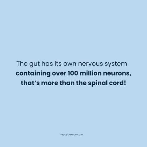 The "Second Brain": The gut has its own nervous system called the enteric nervous system, which contains over 100 million neurons—more than the spinal cord! It communicates directly with the brain, influencing mood, stress, and overall mental health.  How happy is your gut?   . . .  #gutbrain #secondbrain #entericnervoussystem #guthealth #parasites Enteric Nervous System, Second Brain, Gut Brain, Spinal Cord, The Brain, Nervous System, Gut Health, Brain, Two By Two