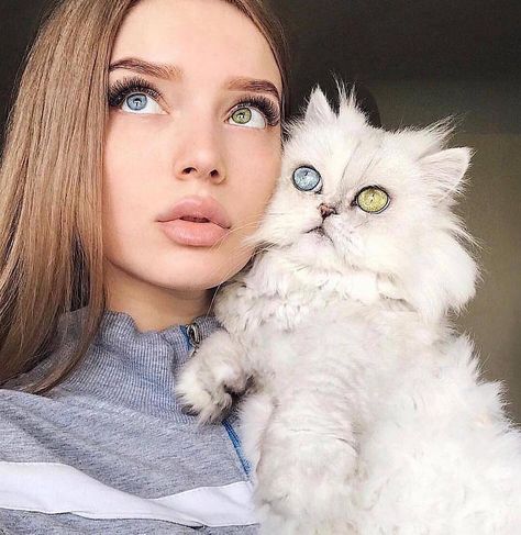 Heterochromia ❤️ By @bo.tatts @sarakhanov @claireluxtonstudio Tag your friends below! . . Follow @artsloyal Heterochromia Eyes, Happy Cat, Pretty Eyes, Soft Grunge, 인물 사진, Cat Gif, 귀여운 동물, White Cat, Beautiful Eyes