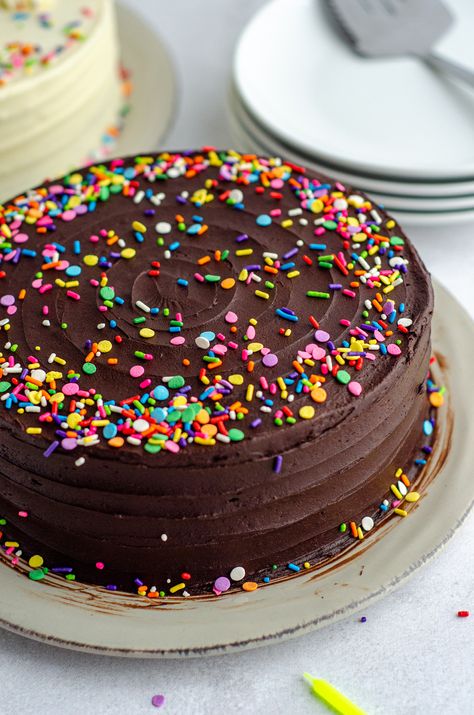 Chocolate Princess Cake, Chocolate Sprinkle Cake, Funnel Cake Toppings, Kids Chocolate Cake, Lava Cake Recipe Easy, Chocolate Birthday Cake Decoration, Funnel Cake Recipe Easy, One Layer Cake, Cake Recipe Easy