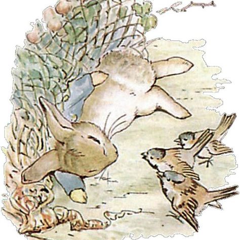 Pitter Rabbit, Peter Rabbit Illustration, 2023 Rabbit, Beatrix Potter Illustrations, Journal Images, Beatrice Potter, Rabbit Year, Tale Of Peter Rabbit, Beatrix Potter Books