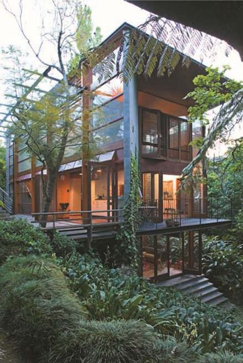 New Zealand Architecture, Jungle House, New Zealand Houses, Architecture Awards, Forest House, Kauai, Auckland, Future House, House Decor