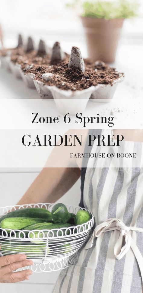 Zone 6 Gardening, Garden Preparation, Garden Prepping, Indoor Vegetables, Vegetable Garden Planner, Starting Seeds, Types Of Herbs, Gardening Zones, Starting Seeds Indoors