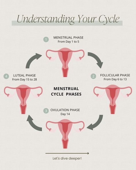 Have you heard the buzz surrounding exercise in line *with* your menstrual cycle?! Ladies, SAVE this one to refer back to throughout your cycle phases! ✔️ As an Exercise Physiologist & Holistic Doctor of Physical Therapy, I LOVE leaning into the science behind supporting our bodies through *movement*. 🏃🏼‍♀️ My job is to translate that into relatable terms for YOU. 👉🏼 Swipe through to learn how to support your body *throughout* your menstrual cycle! Have you tried any of these recommenda... Phases Of The Menstrual Cycle, Phases Of Menstrual Cycle Mood, Exercise Based On Menstrual Cycle, Understanding Menstrual Cycle, Menstrual Cycle Phases, Women’s Menstrual Cycle, Holistic Doctor, Doctor Of Physical Therapy, Polycystic Ovaries