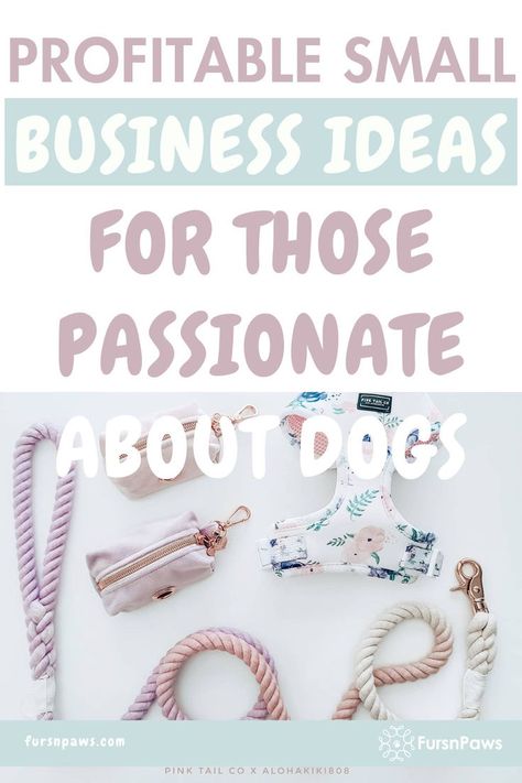 dog business ideas Pet Boutique Ideas, Pet Shop Ideas, Pet Business Ideas, Dog Business Ideas, Easy Small Business Ideas, Profitable Small Business Ideas, Dog Business, Pet Boarding, Pet Businesses