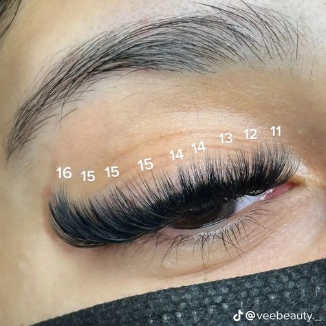 Lash Extension Map, Lash Maps, Natural Fake Eyelashes, Best Lash Extensions, Lashes Fake Eyelashes, Lashes Tutorial, Eyelash Tips, Eyelash Technician, Cat Eye Lash