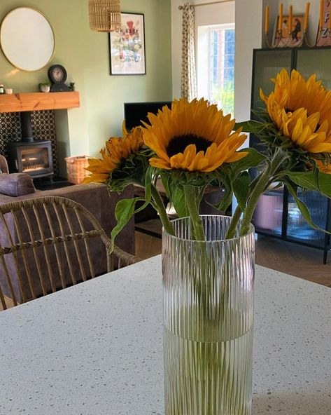 Am I too late for a sunflower shot? 🌻🌻 I finally treated myself to a bunch this week. I expected an abundance of them in pots in the garden this year, as I planted lots of seeds with my youngest. Last year I didn’t have them in a sunny enough spot, and then this year my defence of 🐌 was week (non-existent) so they ate most of them 🤦‍♀️ l’ll try again next year 🤞 #sunflowers #logburner #logburners #openplan #openplanliving #openplankitchen #whitequartz Differant Sunflower Vases, Log Burner, White Quartz, Open Plan Kitchen, Open Plan Living, Sunflower, Seeds, Plants