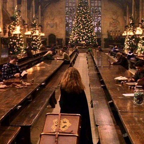 Hogwarts Shifting, Hp Aesthetic, Hogwarts Christmas, Gryffindor Aesthetic, Harry Potter Wall, Potter Aesthetic, Buku Harry Potter, Harry Potter Images, Images Harry Potter