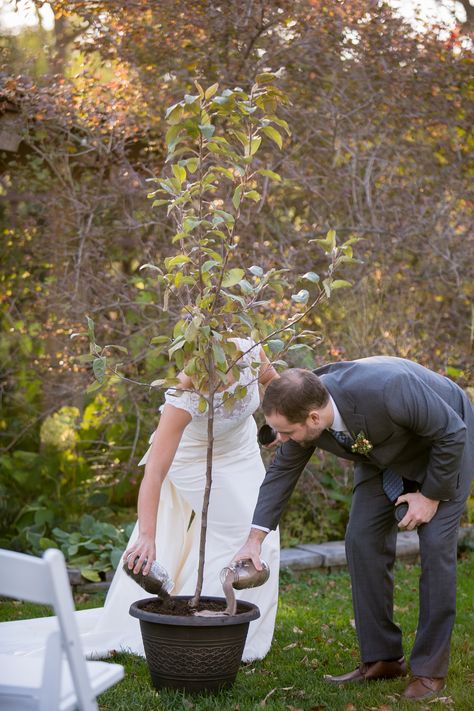 Apple Tree Planting Unity Ceremony Apple Tree Planting, Wedding Orchard, Candle Light Wedding, Unity Ideas, Lighting Wedding, Wedding Ceremony Unity, Wedding Script, Candle Lighting, Wedding Ceremony Ideas