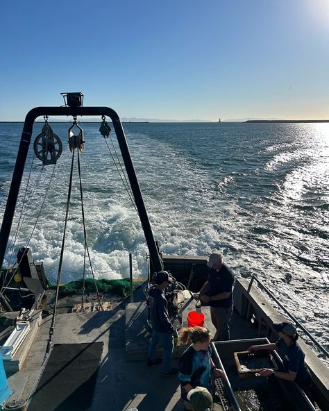 day in the life of a marine bio major 🐟🦭🌊 #marine #marinebiology #boatday #fieldday #research #science #newport Science Job Aesthetic, Marine Science Aesthetic, Marine Biology Lab, Marine Biologist Career, Marine Biologist Aesthetic, Dear 2025, Marine Biology Aesthetic, Marine Ecology, Marine Aesthetic