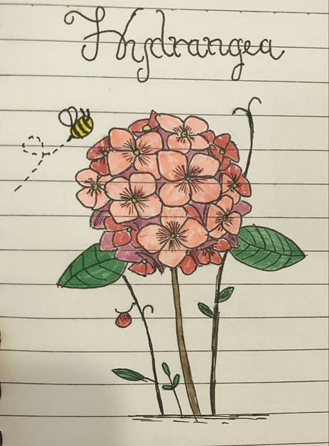 Drawing Of Hydrangea, Hydrangea Doodle, Hydrangea Drawing Simple, Hydrangeas Drawing, Hydrangea Drawing, Journal Therapy, Secret Sisters, Easy Doodles, Doodles Drawings