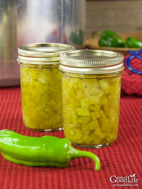 Whether you have a bumper crop in your garden or decided to buy in bulk, roasting and pressure canning chile peppers is a great way to preserve them. Green Chili Sauce Recipe, Homemade Green Chili, Canning Pressure Cooker, Canning Peppers, Green Chile Enchilada Sauce, Green Chile Recipes, Green Chili Sauce, Green Chili Recipes, Chili Pepper Recipes