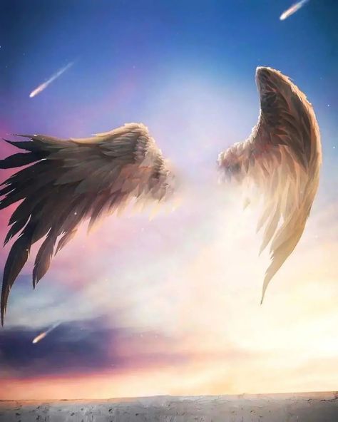 Angel Wings Edit, Vijay Mahar Background, Angel Wings Clip Art, Angel Wings Background, Cb Photo Editing, Republic Day Photos, Vijay Mahar, Angel Wings Painting, Editing Png