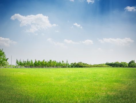 Park grass Free Photo | Free Photo #Freepik #freephoto #summer #light #cloud #green Studio Backdrops Backgrounds, Photo Background Images Hd, Forest Background, Blue Sky Background, Sky Garden, Studio Backdrops, Green Sky, Photo Background Images, Backdrops Backgrounds