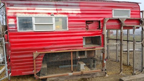 When I was trying to design my coop, I decided to use an old truck bed camper that I had. In my... Chicken Coop Camper Ideas, Camper Chicken Coop Ideas, Camper Chicken Coop, Chicken Caravan, Camper Pictures, Monster Truck Room Decor, Aesthetic Chicken, Semi Trucks Interior, Wicked Chicken