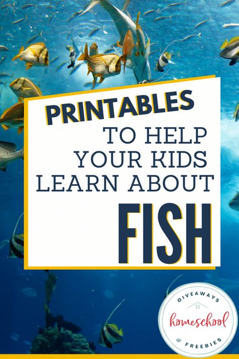 Printables to Help Your Kids Learn About Fish. #learnaboutfish #allaboutfish #fishunit Fish Unit Study, Rainbow Fish Book, Fish Printables, Fish Information, Life Cycles Activities, Fish Activities, Homeschool Freebies, Homeschool Education, Kids Fishing