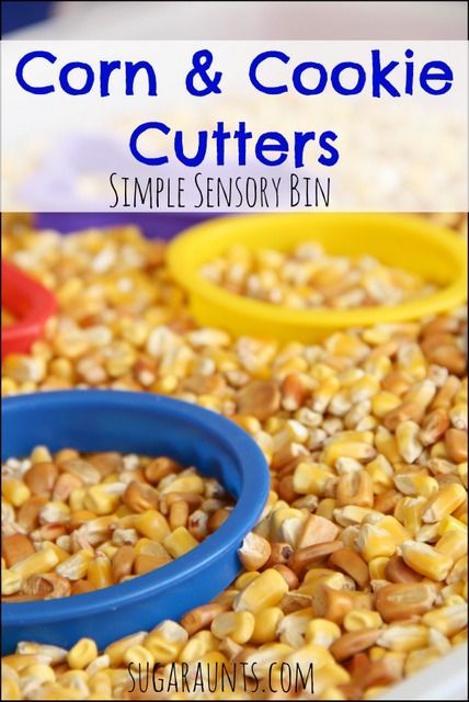 Corn Sensory Bin, Letter C Activities, Sensory Bin Ideas, Sensory Tables, Fall Sensory, Preschool Sensory, Sensory Tubs, Sensory Tub, Teach Preschool