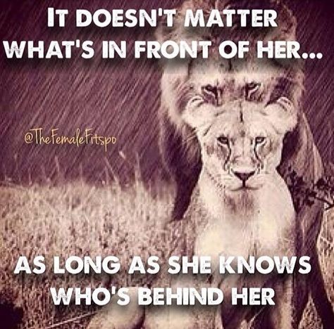 Doesn't matter what you face as long as He's behind you Lion Quotes, The Perfect Guy, I Kings, A Lion, Doesn't Matter, Churchill, Relationship Quotes, Inspire Me, Favorite Quotes